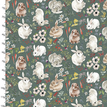 Load image into Gallery viewer, 3 Wishes - Cottontail Farm - Cottontail Toss - 1/2 YARD CUT