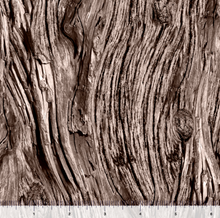 Load image into Gallery viewer, QT Fabrics - Open Air - Driftwood - 1/2 YARD CUT