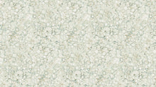 Load image into Gallery viewer, Northcott - Midas Touch - Sage Bubble Texture - 1/2 YARD CUT