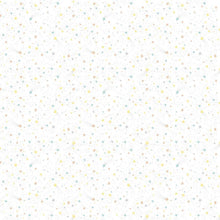 Load image into Gallery viewer, Timeless Treasures - Wish & Wonder - Tiny Allover Stars Multi - 1/2 YARD CUT