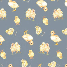 Load image into Gallery viewer, Clothworks - Farm Life - Chicks - 1/2 YARD CUT
