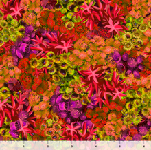 Load image into Gallery viewer, QT Fabrics - Treasures at Sea - Coral Red - 1/2 YARD CUT