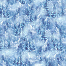 Load image into Gallery viewer, Timeless Treasures - Winter Scenic Frost - 1/2 YARD CUT