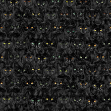Load image into Gallery viewer, Timeless Treasures - Black Cats Magic - 1/2 YARD CUT