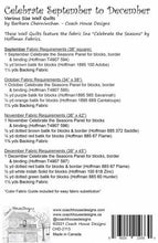 Load image into Gallery viewer, Celebrate the Seasons Quilt Pattern - September - December