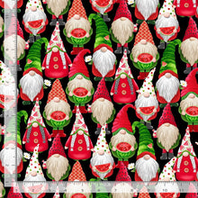 Load image into Gallery viewer, Timeless Treasures - Watermelon Party - Watermelon Gnome - 1/2 YARD CUT

