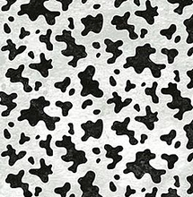 Load image into Gallery viewer, Northcott - Country Paradise - Cow Spots - 1/2 YARD CUT
