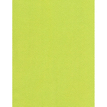 Load image into Gallery viewer, Timeless Treasures - Spin Dot - Spring - 1/2 YARD CUT