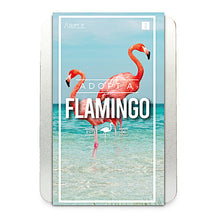 Load image into Gallery viewer, Adopt a Flamingo Kit
