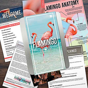 Adopt a Flamingo Kit