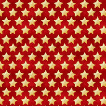 Load image into Gallery viewer, Henry Glass & Co - Land of the Free Stars - 1/2 YARD CUT