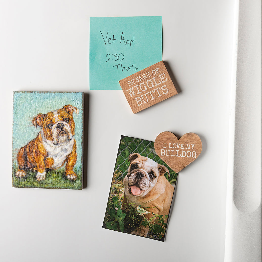 Bulldog Magnet Set