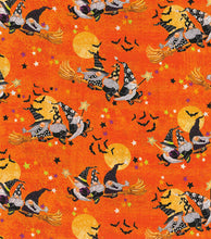 Load image into Gallery viewer, Fabric Traditions - Festive Flight - 1/2 YARD CUT
