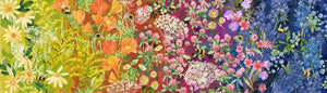 Moda Fabrics - Wild Blossoms - Wildflower Ombre Rainbow - 1/2 YARD CUT