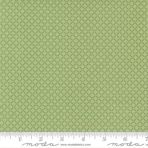 Moda Fabrics - Lighthearted Summer Green - 1/2 YARD CUT