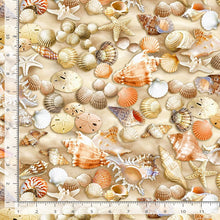 Load image into Gallery viewer, Timeless Treasures - Beach Comber Shells - 1/2 YARD CUT
