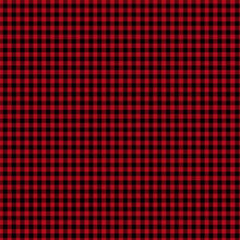 Load image into Gallery viewer, Timeless Treasures - Gnome for the Holidays - Red Check Plaid - 1/2 YARD CUT
