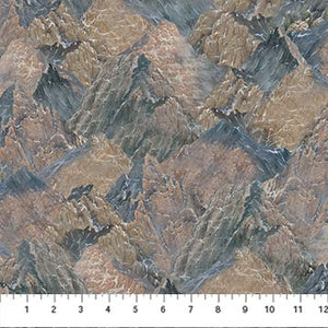 Northcott - Winged Glory - Mountain Texture - 1/2 YARD CUT