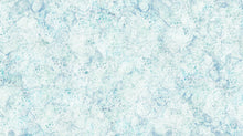 Load image into Gallery viewer, Northcott - Sea Breeze - Sand Dollars Pale Blue - 1/2 YARD CUT

