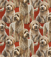 Load image into Gallery viewer, David Textiles - Labradoodle Red - 1/2 YARD CUT
