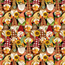 Load image into Gallery viewer, Timeless Treasures - Cider Season Harvest Gnomes - 1/2 YARD CUT

