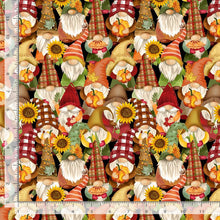 Load image into Gallery viewer, Timeless Treasures - Cider Season Harvest Gnomes - 1/2 YARD CUT
