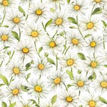 Load image into Gallery viewer, P&amp;B Textiles - Garden Buzz - Daisies - 1/2 YARD CUT
