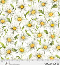 Load image into Gallery viewer, P&amp;B Textiles - Garden Buzz - Daisies - 1/2 YARD CUT

