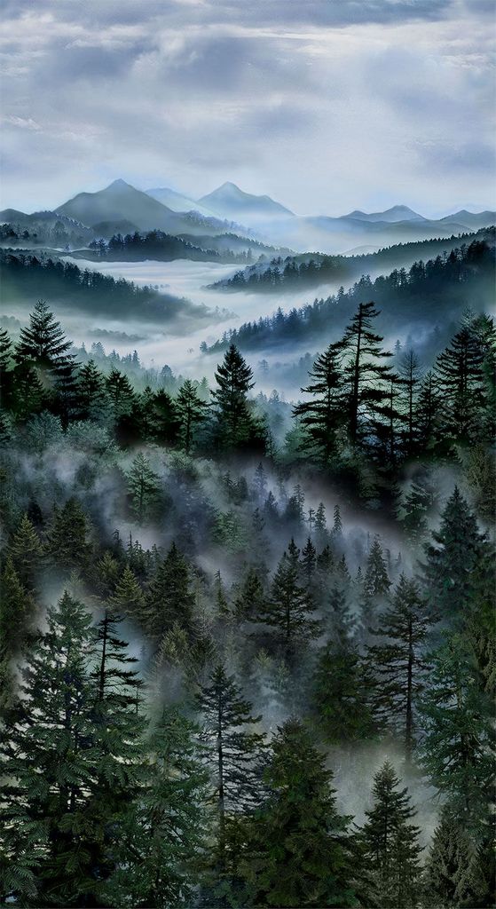 Timeless Treasures - Misty Mountain Multi - 1/2 YARD CUT