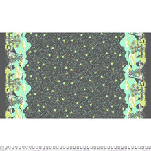 Load image into Gallery viewer, Tula Pink - Roar! - Meteor Showers Storm - 1/2 YARD CUT
