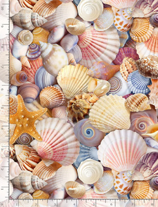 Timeless Treasures - Packed Beach Shells - 1/2 YARD CUT