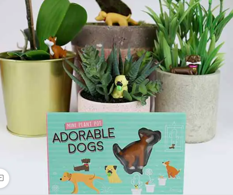 Mini Plant Pot Adorable Dogs