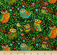 Load image into Gallery viewer, Henry Glass &amp; Co - Spring Awakens Owls - 1/2 YARD CUT
