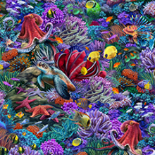 Load image into Gallery viewer, QT Fabrics - Treasures at Sea - Packed Sealife - 1/2 YARD CUT
