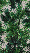 Load and play video in Gallery viewer, RJR - Evergreen - Treeside - 1/2 YARD CUT
