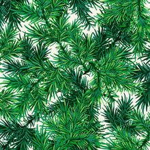 Load image into Gallery viewer, RJR - Evergreen - Treeside - 1/2 YARD CUT
