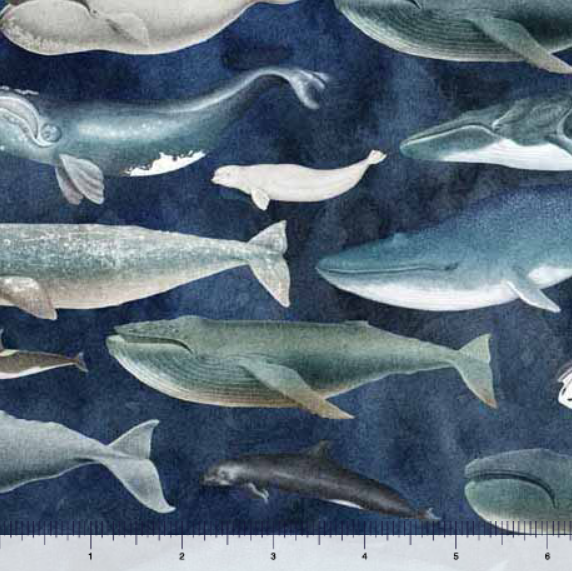 QT Fabrics - Siren's Call - Whales Blue - 1/2 YARD CUT