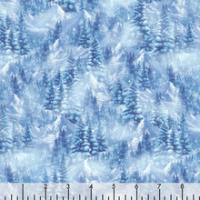 Load image into Gallery viewer, Timeless Treasures - Winter Scenic Frost - 1/2 YARD CUT
