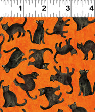 Load image into Gallery viewer, Clothworks - All Hallows Eve - Cats on Orange - 1/2 YARD CUT

