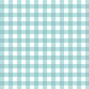 Camelot - Mixology Rainwater Gingham - 1/2 YARD CUT