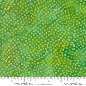 Moda Fabrics - Bermuda Batiks - Lime Dots - 1/2 YARD CUT