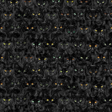 Load image into Gallery viewer, Timeless Treasures - Black Cats Magic - 1/2 YARD CUT
