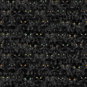 Timeless Treasures - Black Cats Magic - 1/2 YARD CUT