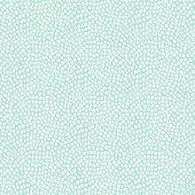 Load image into Gallery viewer, Timeless Treasures - Soft Tiny Dots Mint - 1/2 YARD CUT
