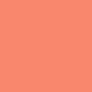 Tula Pink Solids - Persimmon - 1/2 YARD CUT