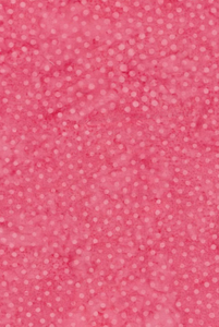 Majestic Batiks - Dots Medium Pink - 1/2 YARD CUT