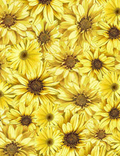 Load image into Gallery viewer, Timeless Treasures - Queen Bee - Packed Sunflowers - 1/2 YARD CUT
