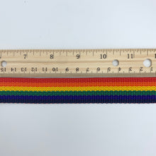 Load image into Gallery viewer, Rainbow 1&quot; Polypro Webbing - BY THE YARD
