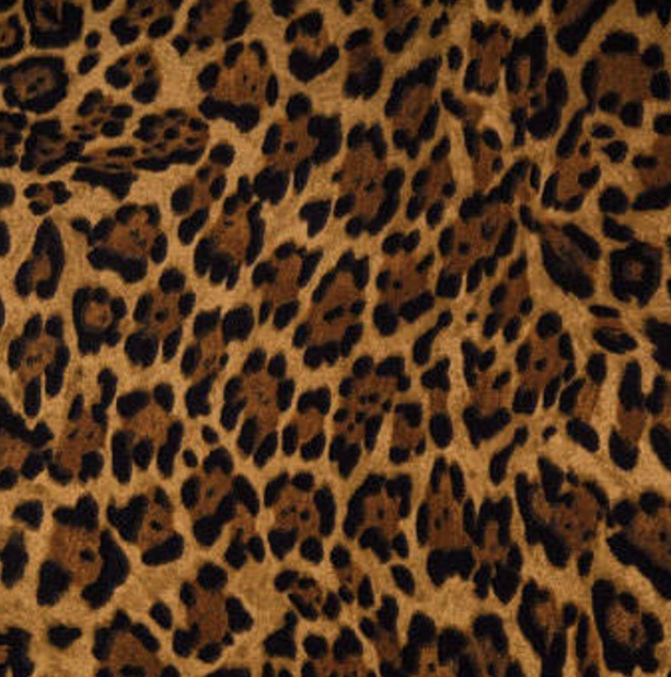 Windham Fabrics - Leopard Skin - 1/2 YARD CUT - Dreaming of the Sea Fabrics