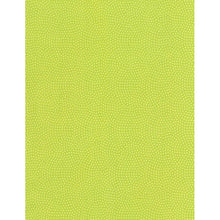 Load image into Gallery viewer, Timeless Treasures - Spin Dot - Spring - 1/2 YARD CUT
